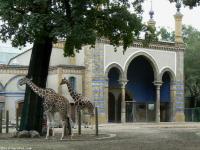 Berlin zoo